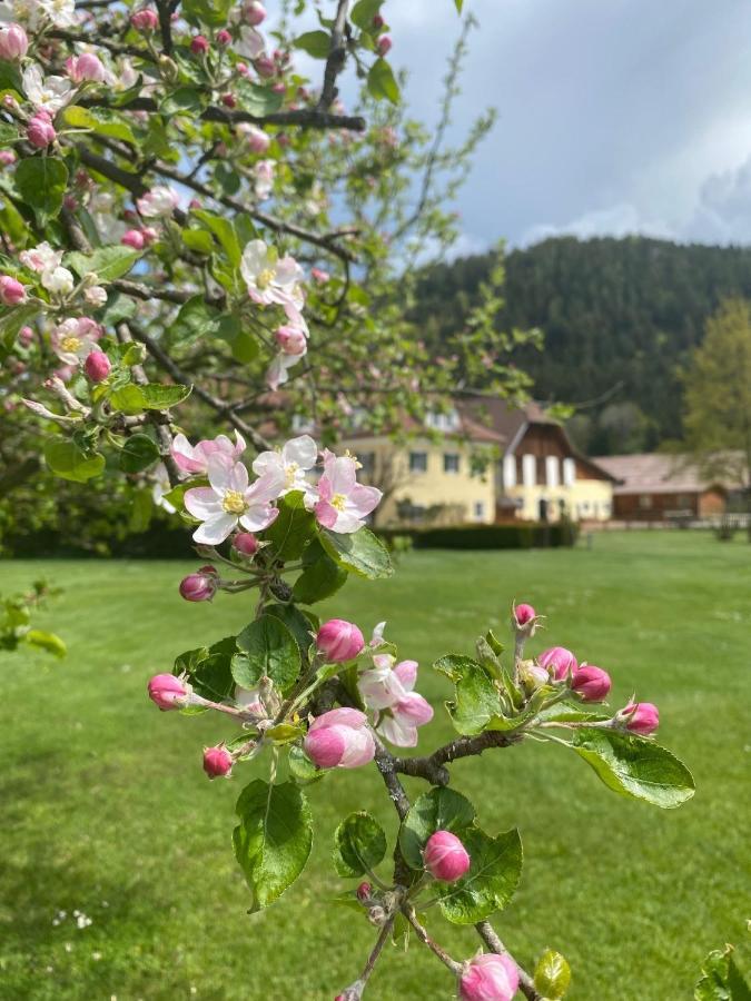 Hotel Dienstl Gut Launsdorf Exteriör bild